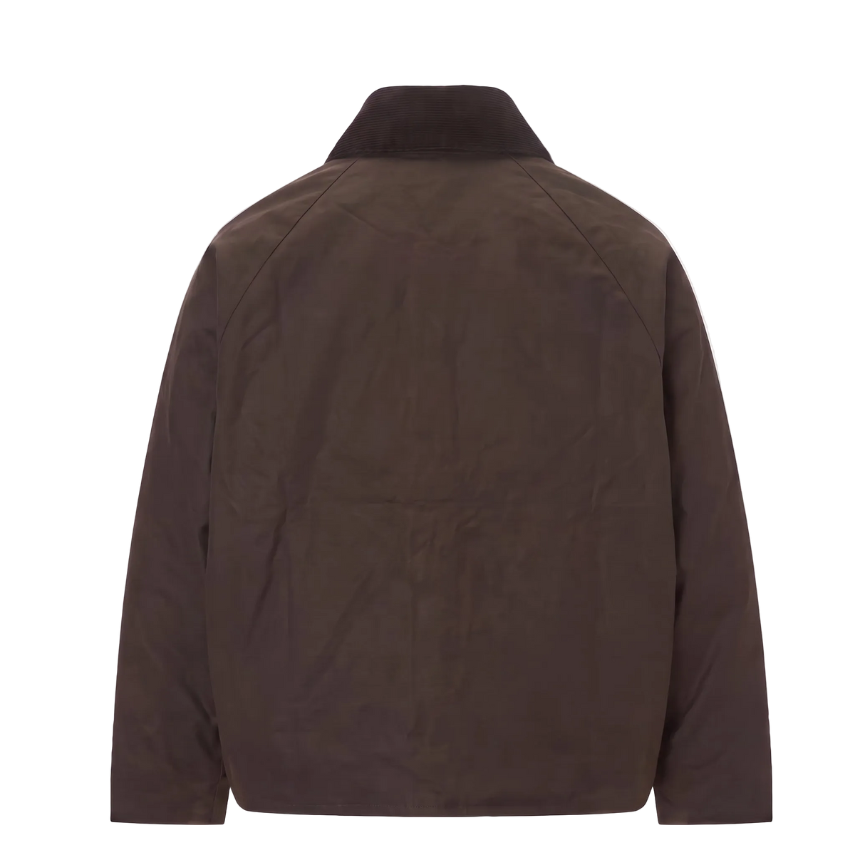 "Not By Sight" Jacket